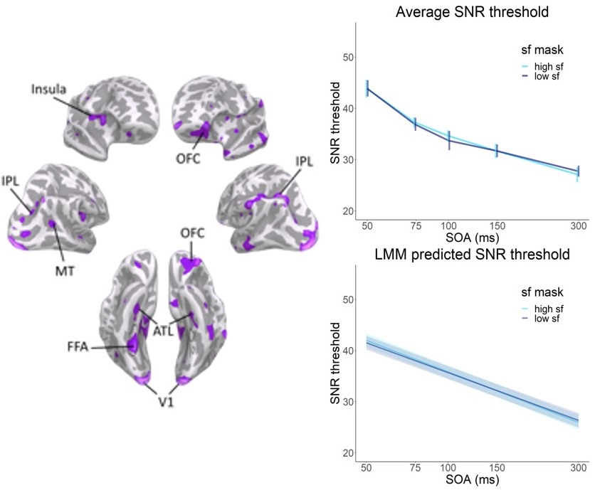 psychometric-fitting-image